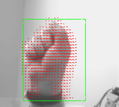 Image of optical flow field of moving hand