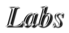 Labs