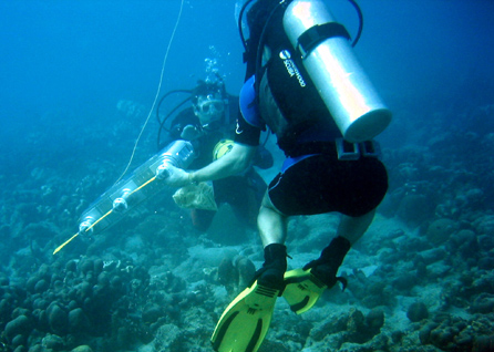 AQUA and Diver