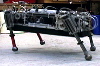 Scout
       II