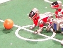 AIBO